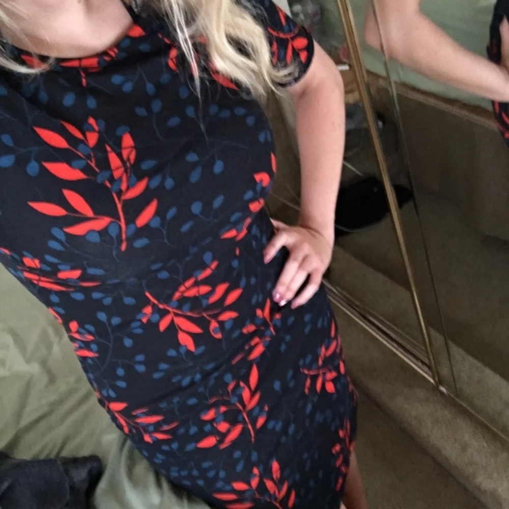 Lularoe Red And Navy Julia